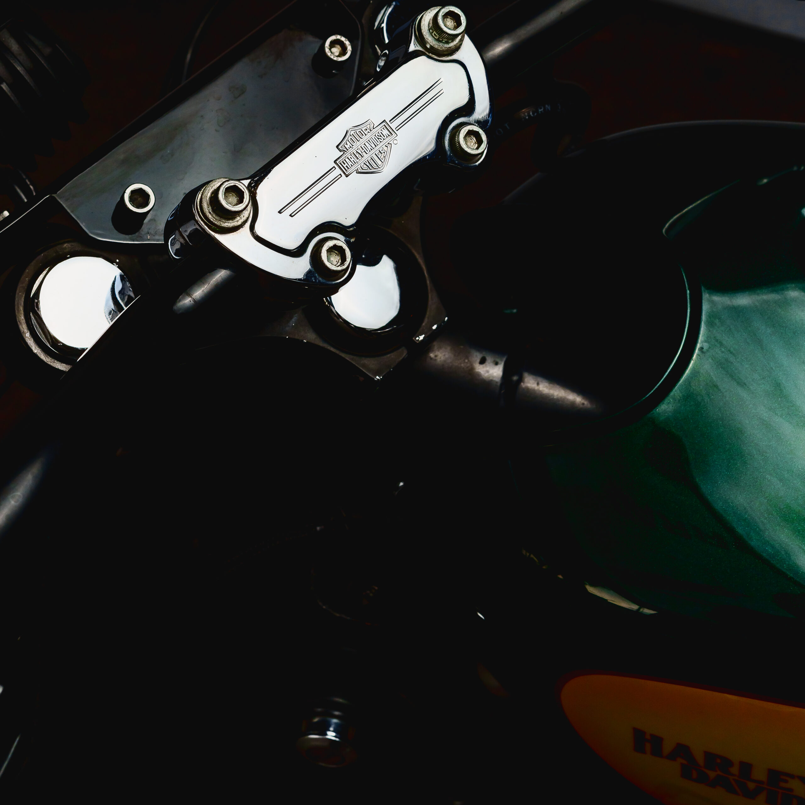 03 HD 1100 CUSTOM 2024_tato