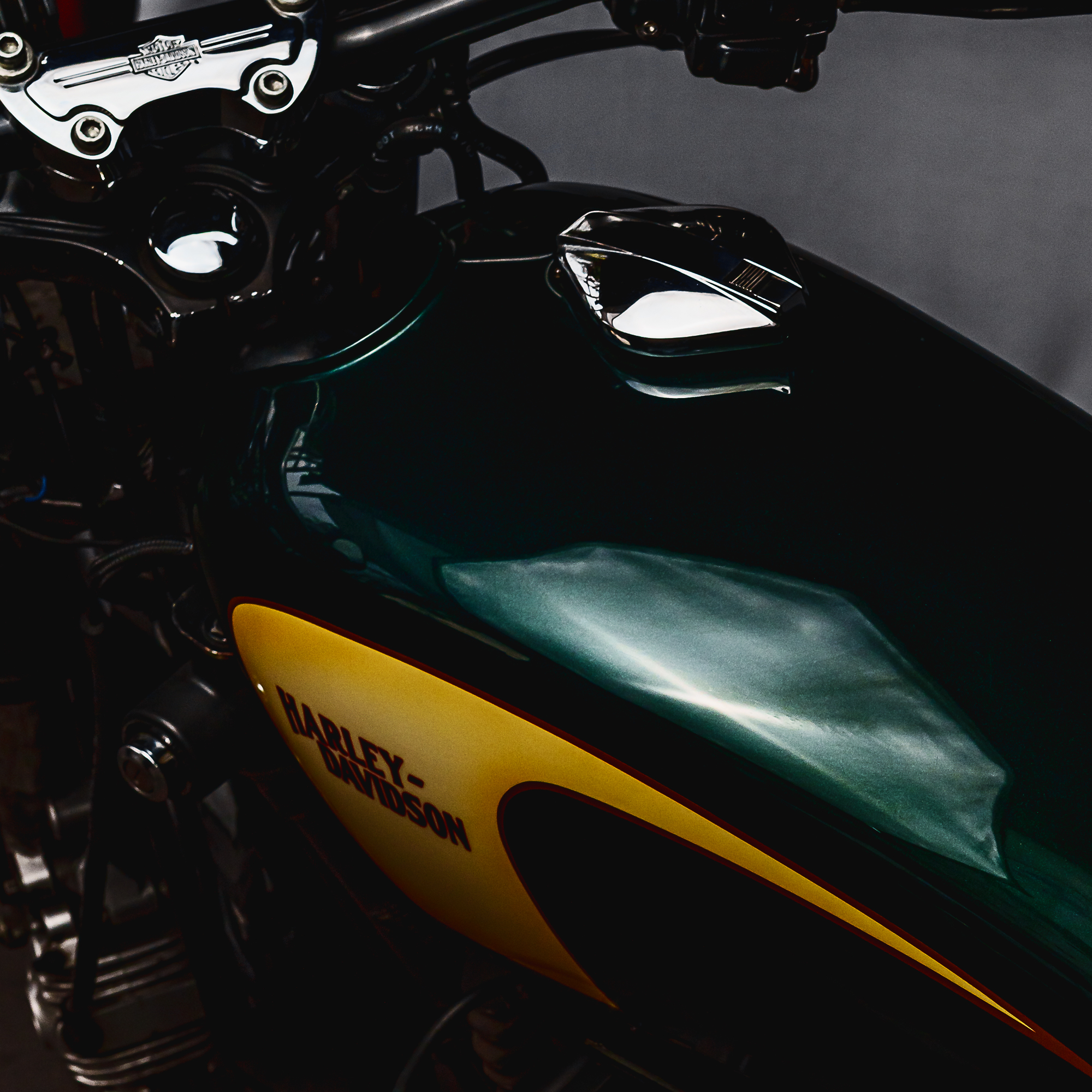 04 HD 1100 CUSTOM 2024_tato