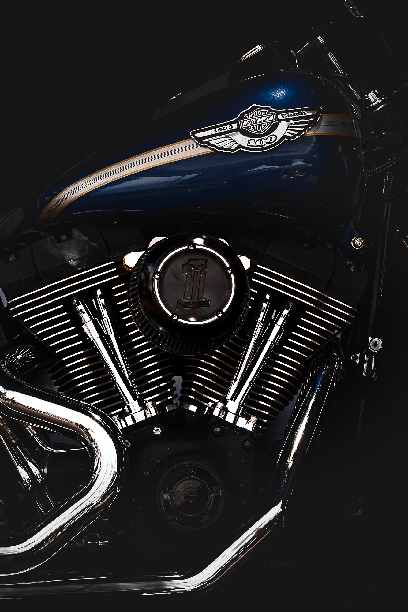 09 HD Softail 2003_vic